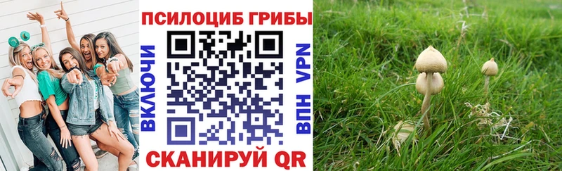 Галлюциногенные грибы MAGIC MUSHROOMS  MEGA сайт  Горячий Ключ 